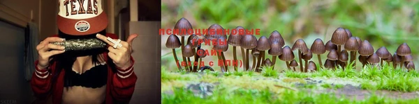mdma Корсаков