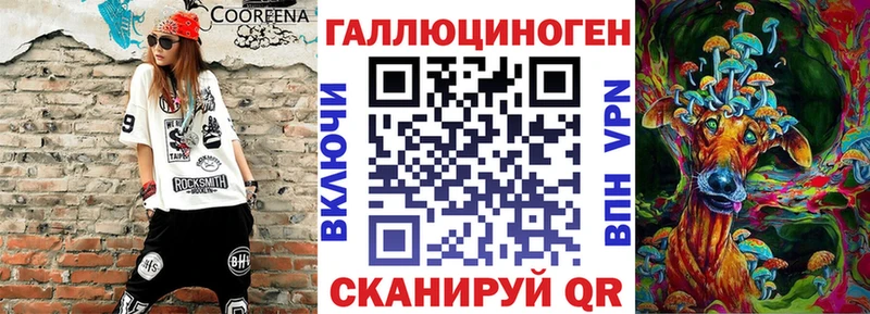 где можно купить наркотик  MEGA как войти  Псилоцибиновые грибы Psilocybine cubensis  Майкоп 