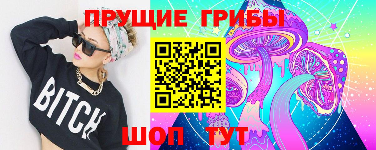 Майкоп  Псилоцибиновые грибы GOLDEN TEACHER  Вход с VPN 