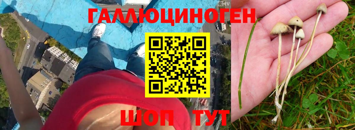 Гарик  Вход с VPN  Лсд 25  Мефедрон  MDMA  Майкоп  Кокаин  МАРИХУАНА 